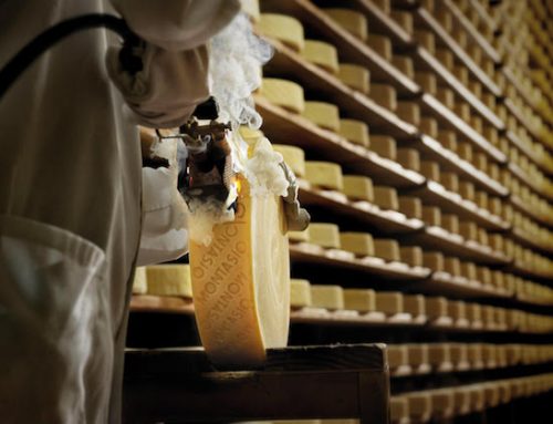 Approvato il bilancio 2025 del Consorzio del Montasio Dop: cresce del 3% il valore della denominazione