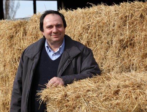 Vitellone Bianco dell’Appennino Centrale Igp: Stefano Mengoli lascia la presidenza del Consorzio