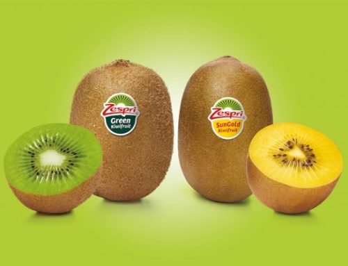 Accordo di libero scambio tra Ue e Nuova Zelanda: il plauso di Zespri Kiwifruit