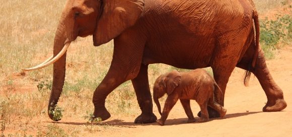 Namibia