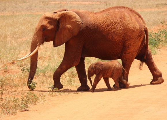 Namibia
