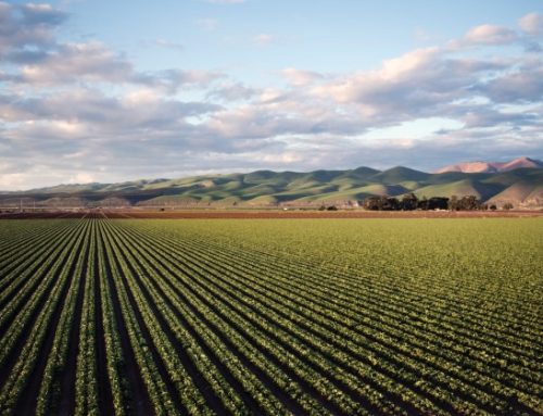 Pesticidi: il Parlamento Ue boccia la proposta di ridurre del 50% i fitofarmaci entro il 2030
