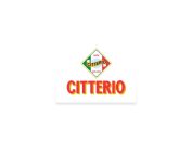 Enrico Citterio