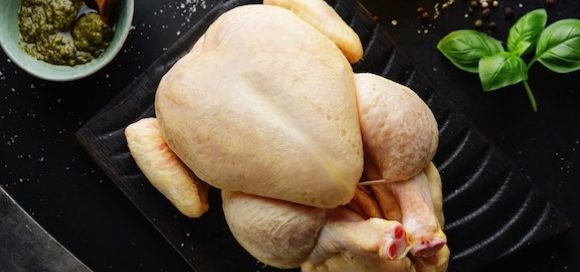 Carne avicola