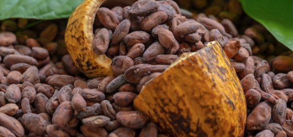 prezzi al consumo di cacao elevati