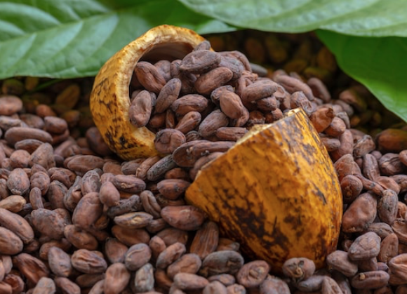 prezzi al consumo di cacao elevati