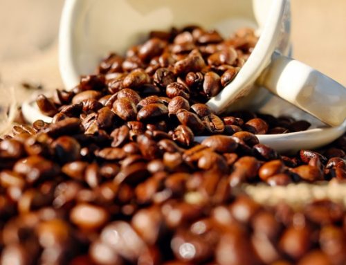 Caffè Toraldo: nel 2023, 60 milioni di euro di fatturato ed export in crescita
