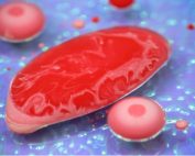 Carne coltivata