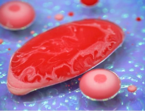 Carne coltivata: la Commissione agricoltura Ue boccia un emendamento e ne ostacola la produzione
