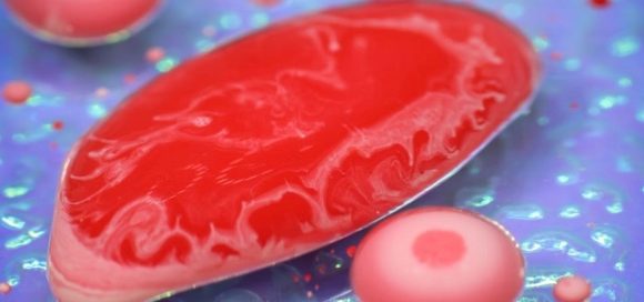 Carne coltivata