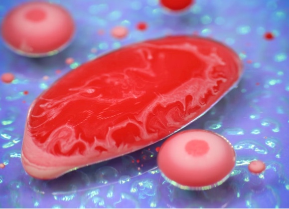 Carne coltivata