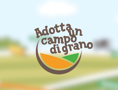 Molini Pivetti rinnova il progetto ‘Adotta un campo di grano’