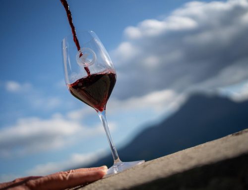Approvati interventi straordinari per salvaguardare il mercato dei vini d’Abruzzo
