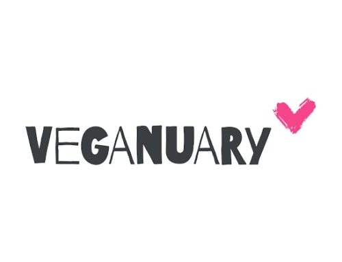 Veganuary: oltre 700mila persone hanno provato la dieta vegana a gennaio 2023