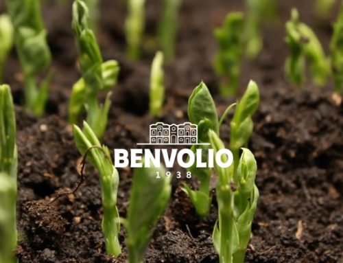 Benvolio1938 si aggiudica il premio ‘E-commerce First’