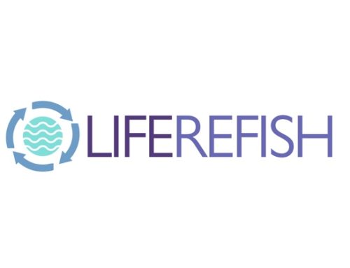 Mare Aperto Jealsa: il progetto Refish e la certificazione Zero Waste Management