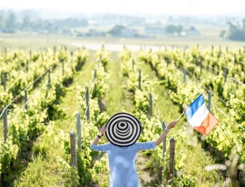 Francia: il governo aumenta gli investimenti nel bio