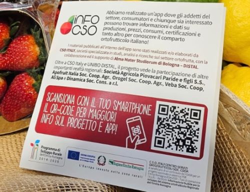 CSO Italy e Alì: partnership per il lancio di un’app di informazioni sull’ortofrutta emiliana