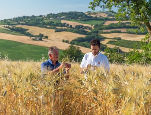 Girolomoni: prima filiera food 100% italiana a entrare nella World fair trade organization