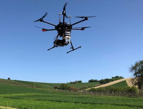Bio marchigiano: al via il progetto ‘Si–Riparte’ per rendere più competitiva la filiera