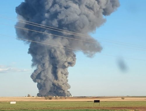 Incendio ai campi di grano di Libera Terra confiscati alla mafia. La solidarietà di Federbio