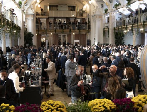 Al via le anteprime del 32° Merano WineFestival
