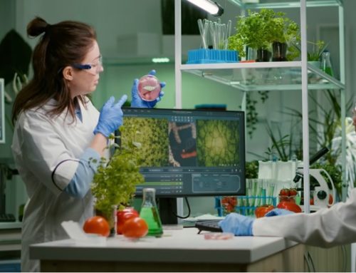 Giorgia Meloni: “Non voglio un mondo in cui i ricchi mangiano alimenti naturali e i poveri quelli sintetici”