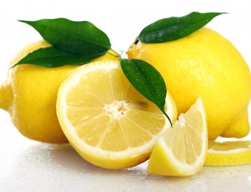‘I limoni per la ricerca’: al via la nona edizione del Progetto Veronesi a sostegno della ricerca scientifica