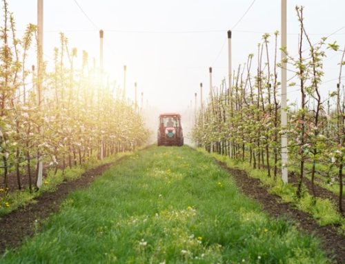 Verso la manifestazione di Bruxelles / 2 Copagri: “Riuniremo il nostro esecutivo nella capitale belga”
