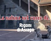 rigoni di asiago