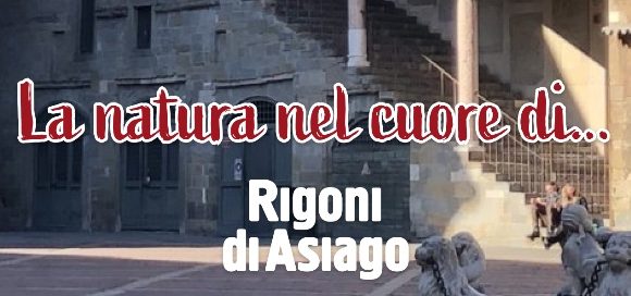 rigoni di asiago