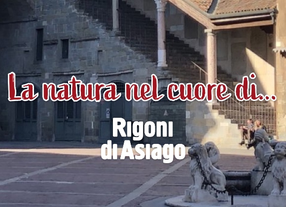 rigoni di asiago