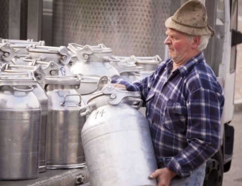 Giovanni Guarneri (Alleanza Cooperative): “Il latte costa di più? Non certo per colpa degli allevatori”