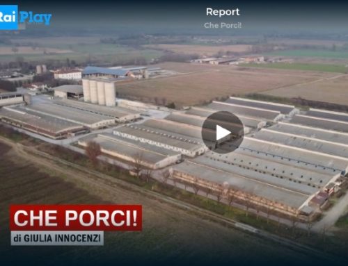 Report attacca il Consorzio del Prosciutto di Parma. Il commento di Angelo Frigerio