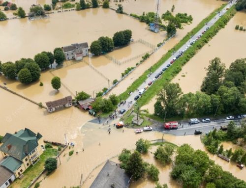Alluvione: in Romagna, previsti 40 milioni di piante da frutto da estirpare. Danni ingenti al mercato ortofrutticolo
