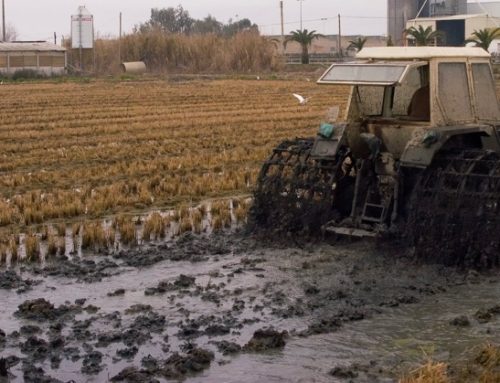 Alluvione in Toscana: oltre 7mila ettari coltivabili finiti sott’acqua