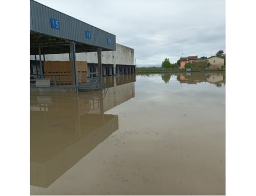 Alluvione/Conserve Italia: ripartono produzione di succhi e spedizioni. Danni a frutta e pomodoro