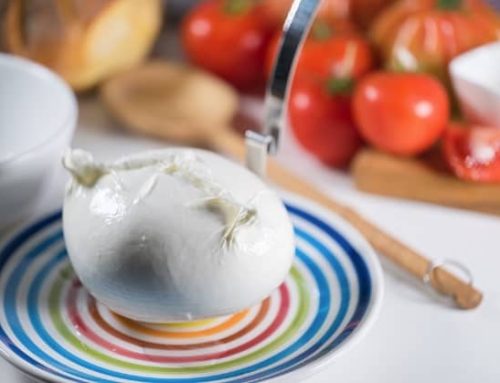Il Consorzio della Mozzarella di Bufala Campana Dop presenterà il 22 ottobre i dati su posizionamento e sentiment in Ue