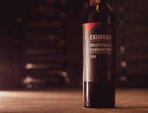 Doppio successo per Terre de la Custodia al Concorso Decanter 2023