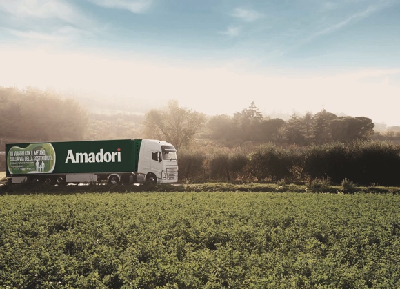 Amadori
