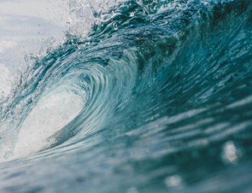 Rizzoli Emanuelli sceglie la campionessa di nuoto Giulia Ghiretti per celebrare la Giornata degli oceani