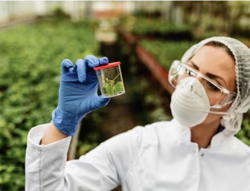 Lollobrigida: “Tea passo cruciale per sostenere innovazione e competitività”