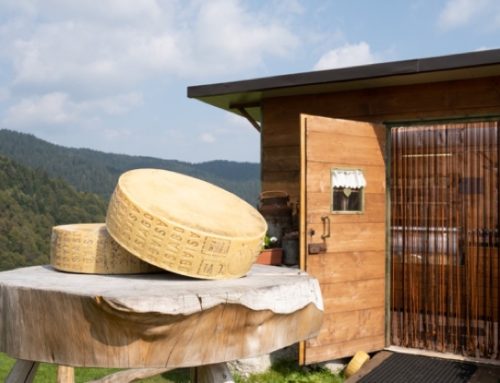 Il Consorzio tutela formaggio Asiago presenta alcune iniziative per la promozione della Dop e del suo territorio