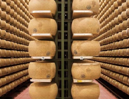 Grana Padano: il boom produttivo nei primi nove mesi 2025 fa calare i listini. Il Consorzio studia misure strutturali per il 2026