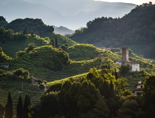 Per il Conegliano Valdobbiadene il 2025 si chiude con vendite a +8%