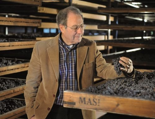 Masi Agricola: nel 2025 64,4 milioni ricavi (-3,7%)