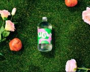 ugly vodka
