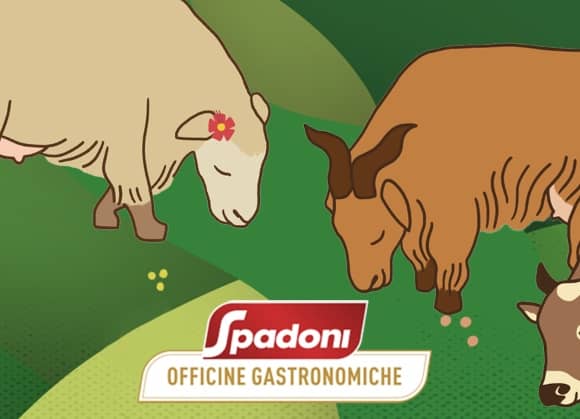 Officine Gastronomiche Spadoni