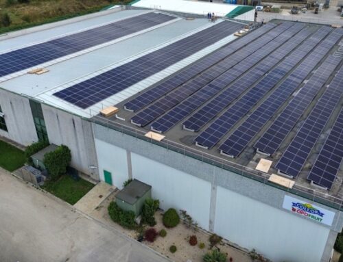 Ortaggi: Colt.Or investe 374mila euro per azzerare i costi energetici dell’azienda