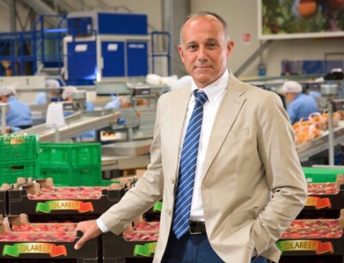 Apofruit: liquidazioni primaverili a +11,3%
